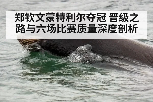 郑钦文蒙特利尔夺冠 晋级之路与六场比赛质量深度剖析